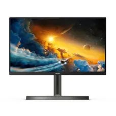 Монитор TFT 55" Philips 558M1RY