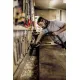 Промисловий  пилосос Karcher WD 3 1.628-107.0 