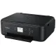 МФУ CANON Pixma TS5150