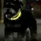 Нашийник світячий LED регульований Purlov 24200