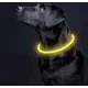 Нашийник світячий LED регульований Purlov 24200